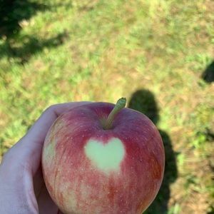 Meet your Posher, Kacey